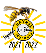 Together We Shine graphic with year and realistic hornet